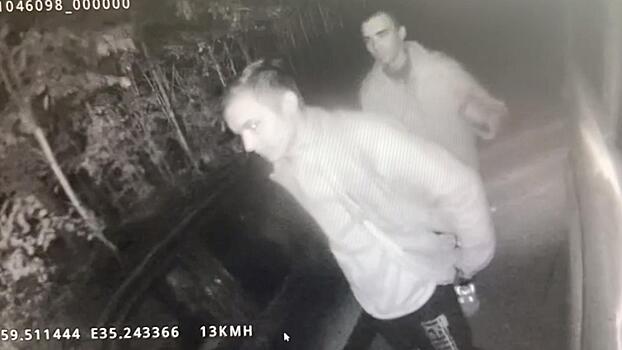 В Ленобласти остановить машину под управлением нетрезвого водителя удалось после выстрела в воздух