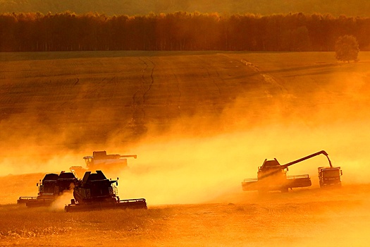 На господдержку агропрома выделили больше 0,5 трлн рублей