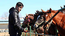 Анатолий Тимощук: «У Азмуна около 25 лошадей. У него загораются глаза, когда говоришь о лошадях»