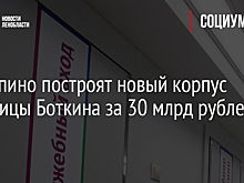 В Колпино построят новый корпус больницы Боткина за 30 млрд рублей