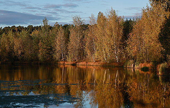 Банковские кризисы оказались вредны для экологии