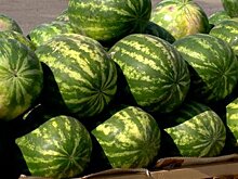 Пензенцы не спешат лакомиться арбузами и дынями