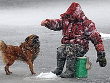 В России вступил в силу закон о любительском рыболовстве
