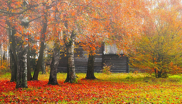 Приметы и поверья на 1 ноября: что нельзя делать в Иванов день?