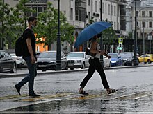 До +21 градуса и дожди прогнозируются в Московском регионе в пятницу