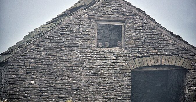 На фото есть 3 совы, а вот 4-я спряталась так, что найти ее сможет далеко не каждый