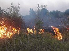Площадь природных пожаров в Башкирии выросла до 1,5 тыс. га