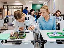 Экоцентры Департамента природопользования и охраны окружающей среды приняли участие во Всероссийском фестивале «Наука 0+»