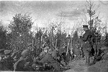Таллинские курсанты бросались под немецкие танки