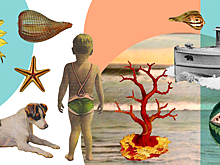 Гид по выходным: куда пойти с детьми в Москве 31 августа-1 сентября