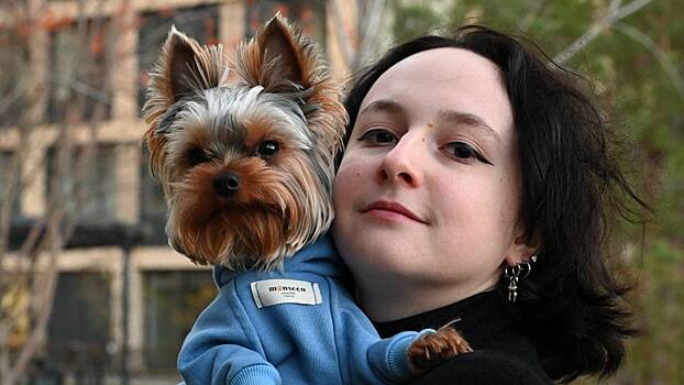 Как защитить собаку от переохлаждения во время сильных морозов