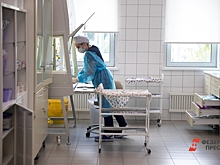 В Приморье заболеваемость корью выросла в четыре раза: 80 % заболевших не привиты