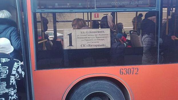 Сам себе контролёр: в Калининграде турист уехал на автобусе не туда из-за неправильной информации на табло