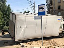 В Быковке может появиться питомник растений для озеленения Саратова