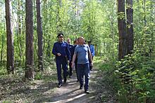 Генеральная прокуратура потребовала от руководства СО РАН навести порядок в новосибирских лесах