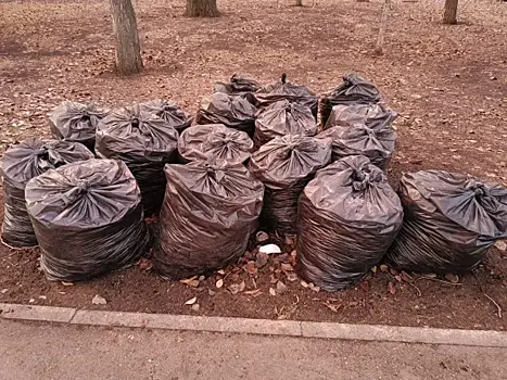 В Жигулевске чиновники и бюджетники вышли на уборку города