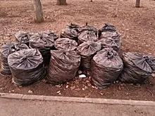 В Жигулевске чиновники и бюджетники вышли на уборку города