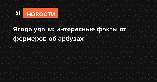 Ягода удачи: интересные факты от фермеров об арбузах