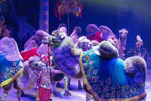 Только до 24 апреля «Песчаная сказка» Гии Эрадзе на манеже Нижегородского цирка
