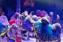 Только до 24 апреля «Песчаная сказка» Гии Эрадзе на манеже Нижегородского цирка