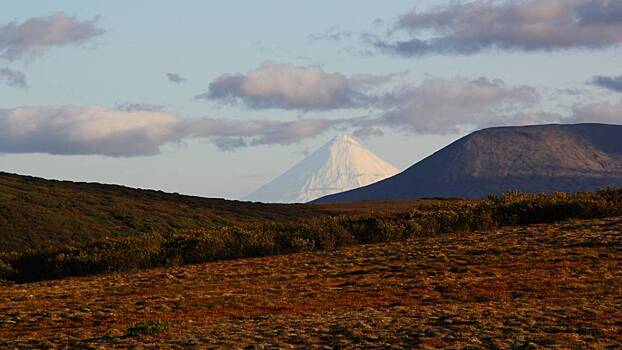 Ученые сообщили, что вулкан на Камчатке начал выбрасывать «бомбы»