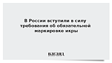 В России начинается поэтапная маркировка икры осетровых и лососёвых видов рыб