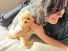 Гузеева поделилась фотографией дочери с новой собакой