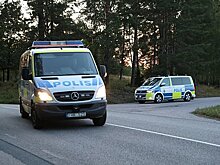 В Швеции застрелили четырех сбежавших из зоопарка шимпанзе