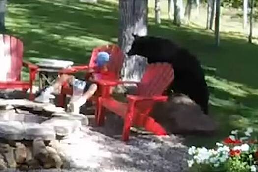 Медведь подкрался со спины к жующему кукурузу мальчику и попал на видео