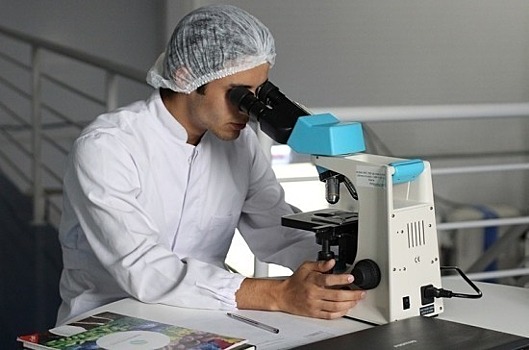 Российские ученые открыли способ борьбы с раком