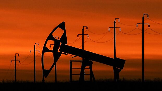 Нефти предрекли десятилетия «золотого века»