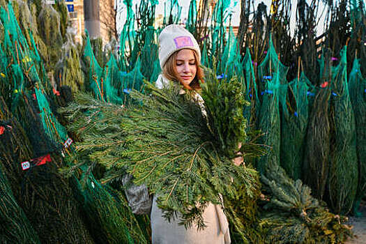 Эколог Рыбальченко: выброс елки в стандартный контейнер грозит штрафом