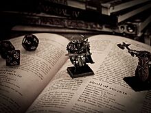 В Омске проведут первый настольно-ролевой конвент