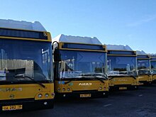 Маршруты ростовские: 25 автобусов компании из Ижевска передали на маршруты Ростова-на-Дону