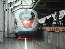 Клининговая компания «отмыла» почти 200 миллионов на «Сапсанах»