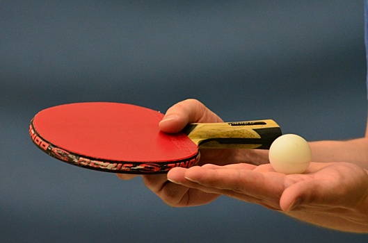 В Богородском прошёл турнир по настольному теннису среди пенсионеров