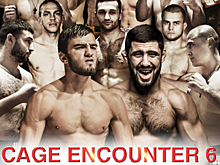WWFC Cage Encounter 6: 29 марта в Киеве