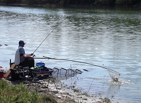 До 15 июня в Ростовской области запретили ловлю рыбца