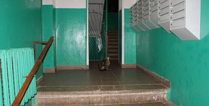 В 2023 году на Дону на ремонт подъездов направят более 210 млн рублей