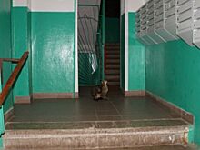 В 2023 году на Дону на ремонт подъездов направят более 210 млн рублей