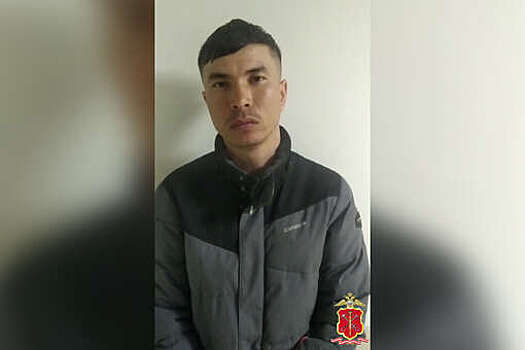 В Петербурге шестерых иностранцев заподозрили в похищении мигранта