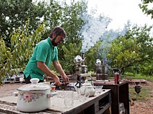 Экскурсии в сады и винодельни меняют туризм