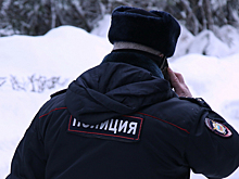 Учащийся колледжа покончил с собой в Подмосковье