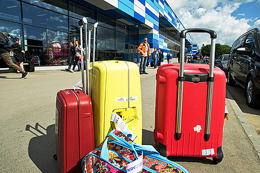 В России намерены упростить досмотр транзитного багажа в аэропортах