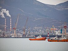 «Транснефть» приостановила переговоры по покупке акций Новороссийского порта
