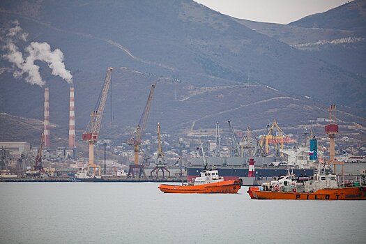 «Транснефть» приостановила переговоры по покупке акций Новороссийского порта