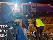 Семьям погибших в ДТП в Пермском крае выплатят по 1 миллиону рублей