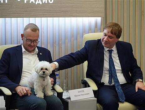 В Самаре стартовал самый трогательный конкурс этой осени