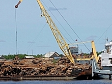 Тазовские чиновники выбрали для тундровиков подходящий лес. Дрова уже завозят
