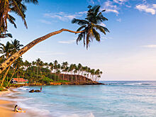 Россияне три дня не могут улететь из Шри-Ланки